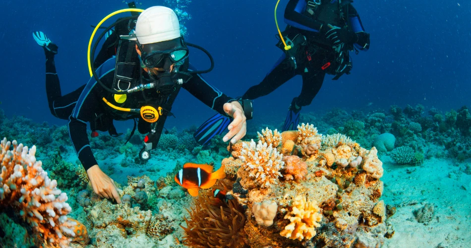 Wild Adventures Await: A Daredevil’s Guide to Kuwait